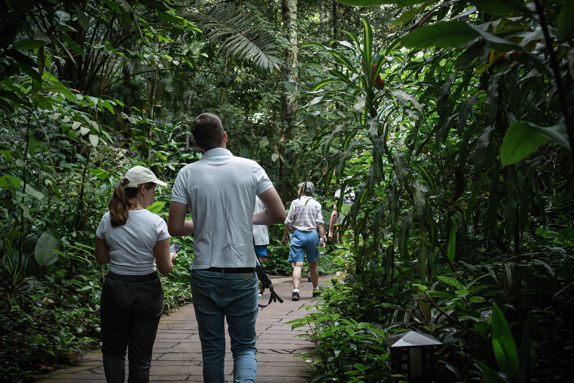 Jungle Walk